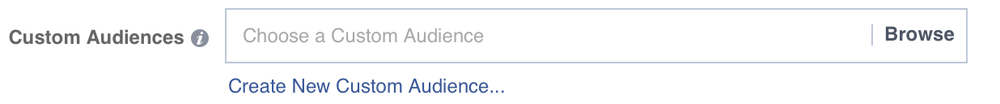 Facebook custom audiences selection screenshot