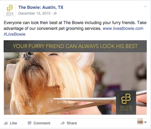 Property facebook post highlighting pet grooming.