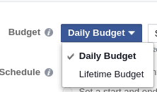 Facebook budget options