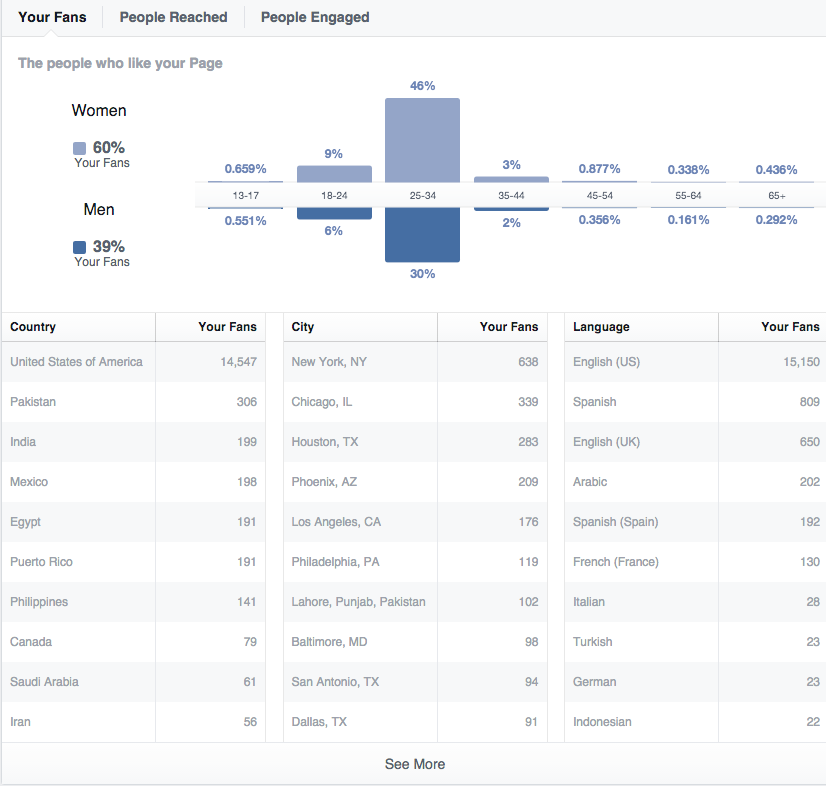 Facebook audience insight and demographic breakdown.